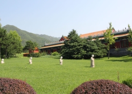天壽園草坪